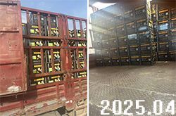 四百余箱糖醇肥料發往海南某地 四百余箱糖醇肥料發往海南某地